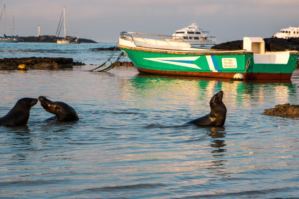 Chez Manany Galapagos Ecolodge Puerto Villamil Exterior foto